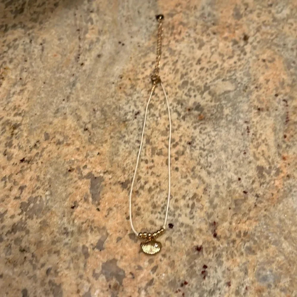 Claire's gold seashell choker